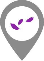 logo correze violet 