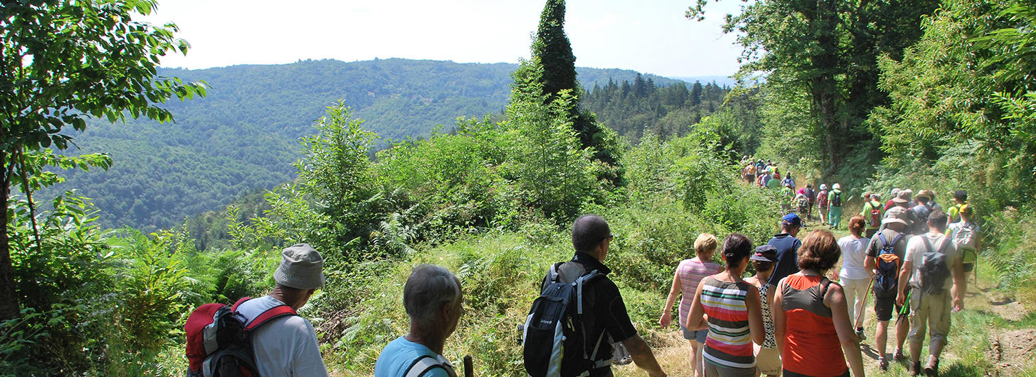 Les Randonnees Pedestres Conseil Departemental De La Correze calendrier randonnée correze 2021