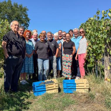 Le ban des vendanges a &eacute;t&eacute; lev&eacute; &agrave; la SCEA des Coteaux de Brive &agrave; Sainte F&eacute;r&eacute;ole