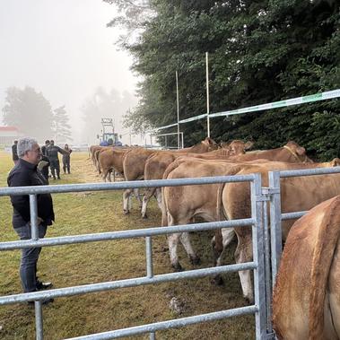 Comice agricole de l’ancien canton d’Égletons 