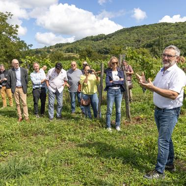 Le ban des vendanges a été levé ce matin au Domaine de Chirac à Beaulieu-sur-Dordogne 