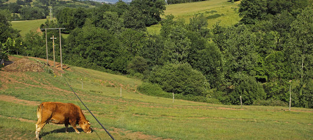 agriculture forêt aménagement foncier