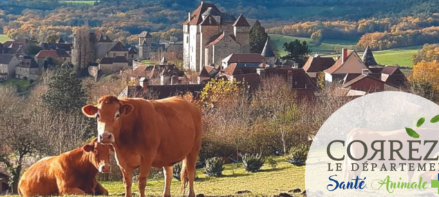 header_correze_sante_animale