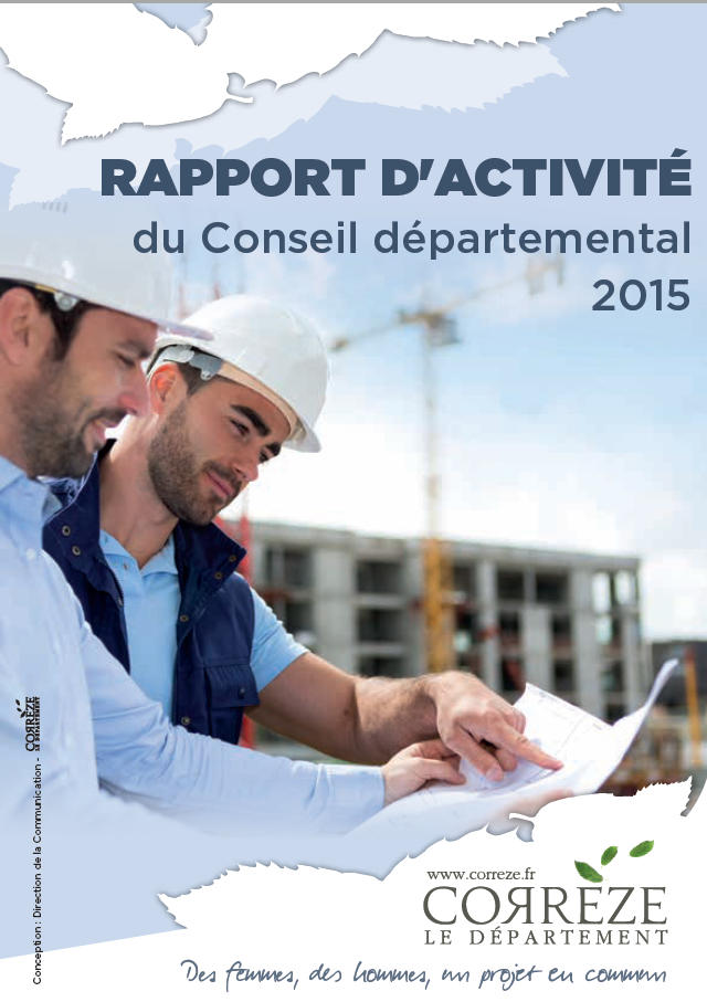 rapport d'activités 2015