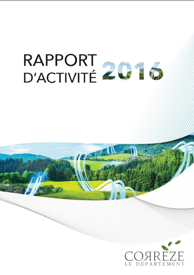 Rapport d'activités 2016