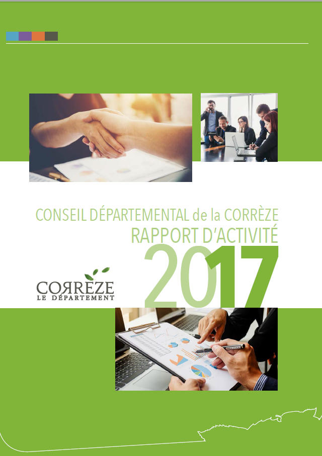 Rapport d'activités 2017