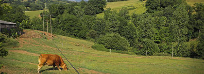 agriculture forêt aménagement foncier