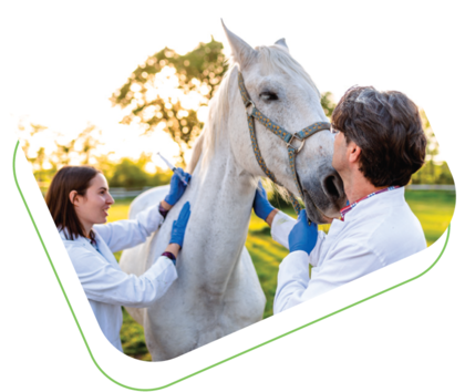 Corrèze Santé Animale