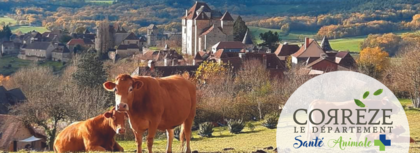 header_correze_sante_animale